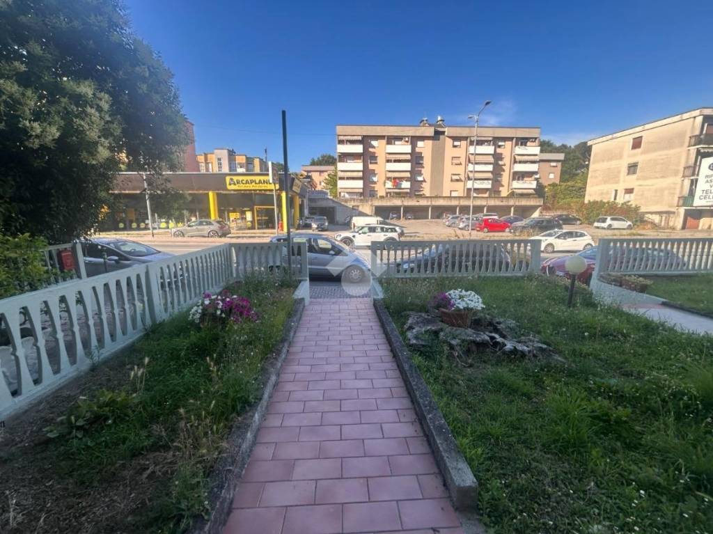 immagine annuncio 9 di 14