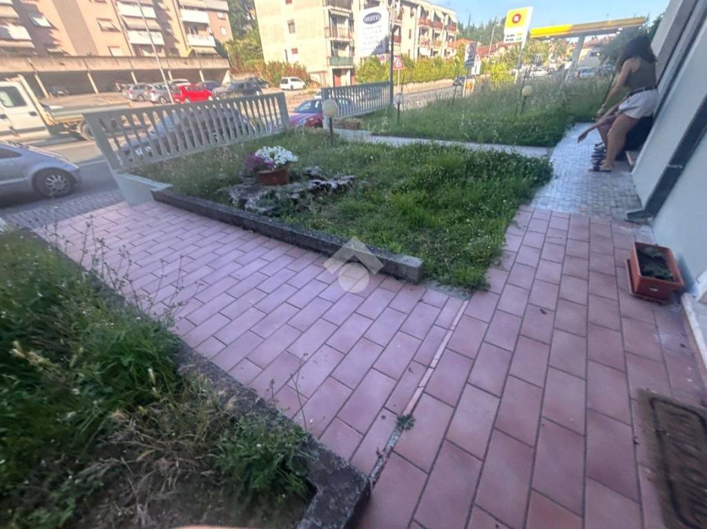 immagine annuncio 12 di 14