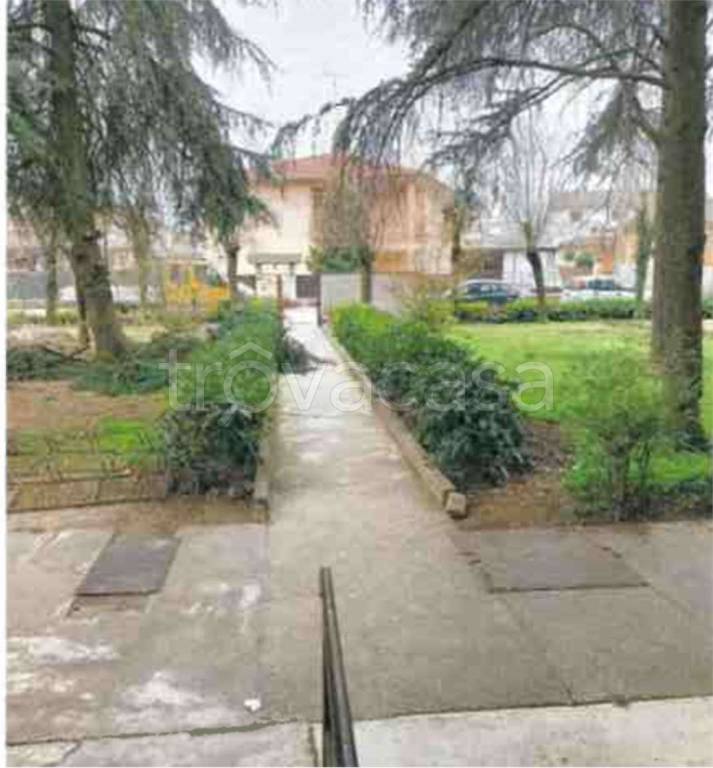 immagine annuncio 6 di 14