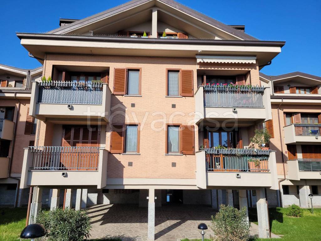 immagine annuncio 3 di 15