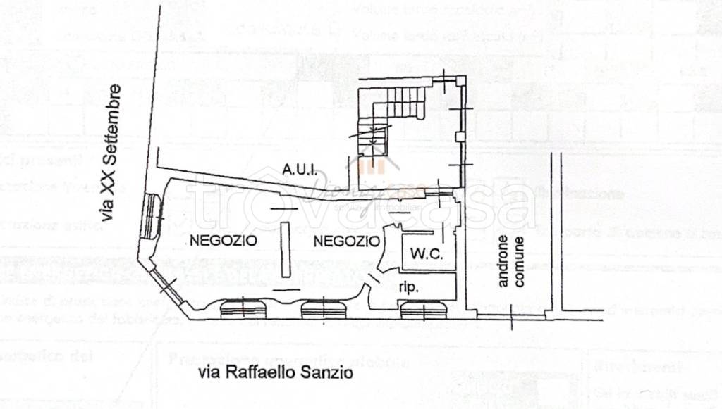 immagine annuncio 11 di 12