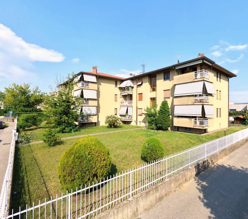 immagine annuncio 9 di 15