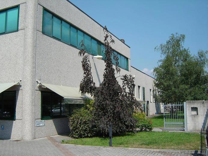 immagine annuncio 5 di 9