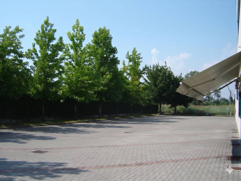 immagine annuncio 6 di 9