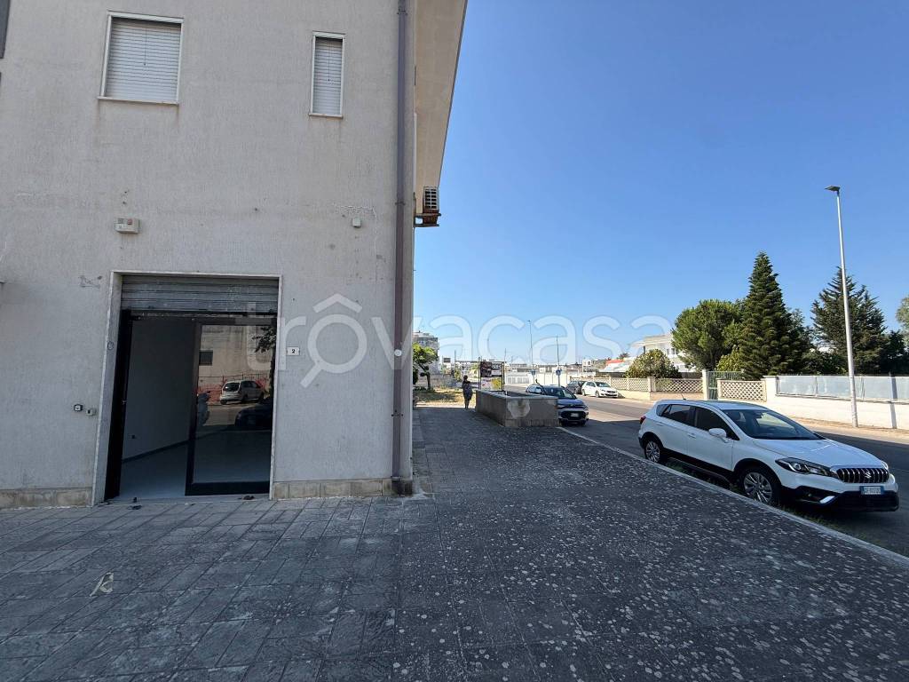 immagine annuncio 9 di 15