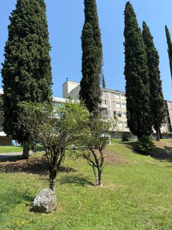 immagine annuncio 9 di 12