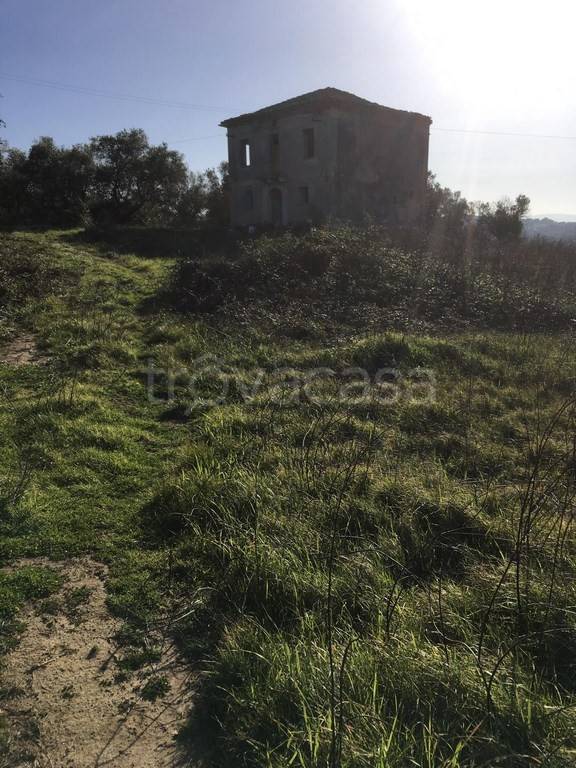 immagine annuncio 5 di 7