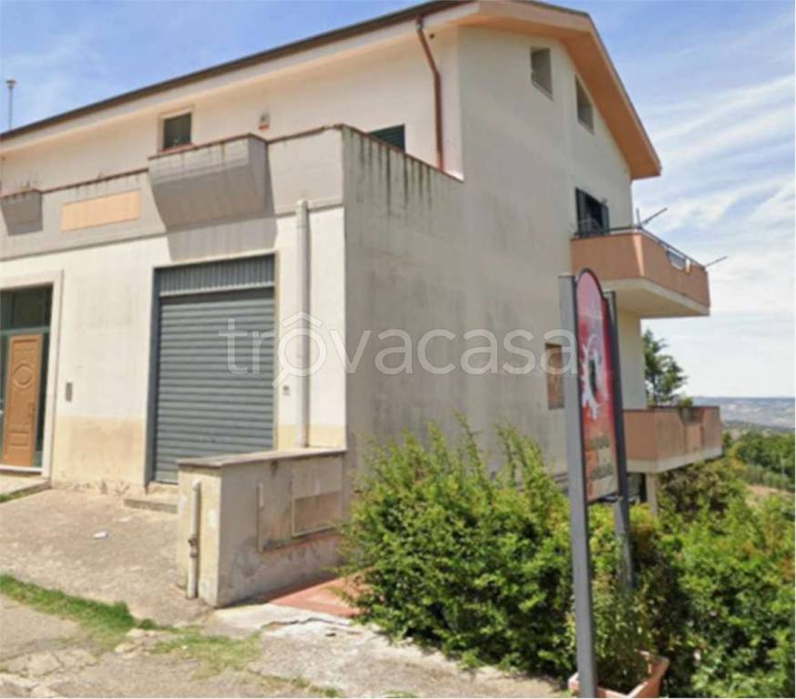 immagine annuncio 7 di 14