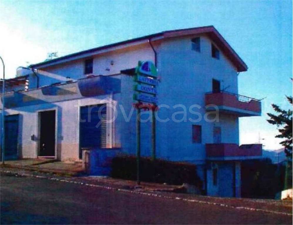 immagine annuncio 11 di 14