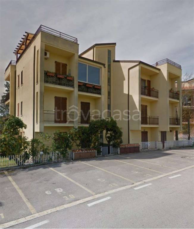 immagine annuncio 6 di 11