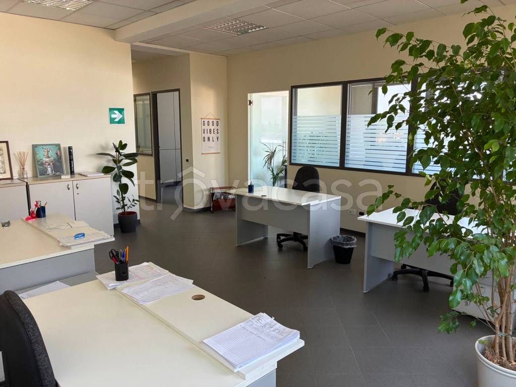 immagine annuncio 13 di 14