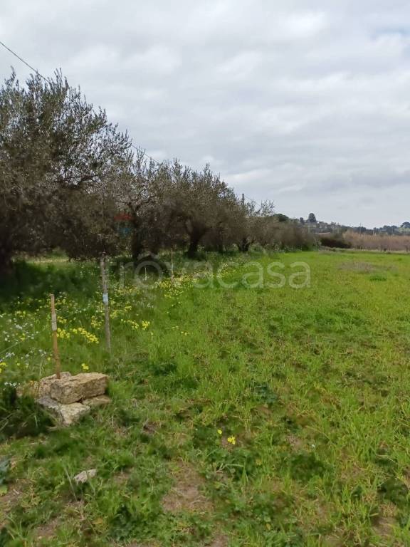 immagine annuncio 13 di 14
