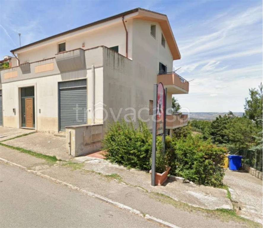 immagine annuncio 5 di 14