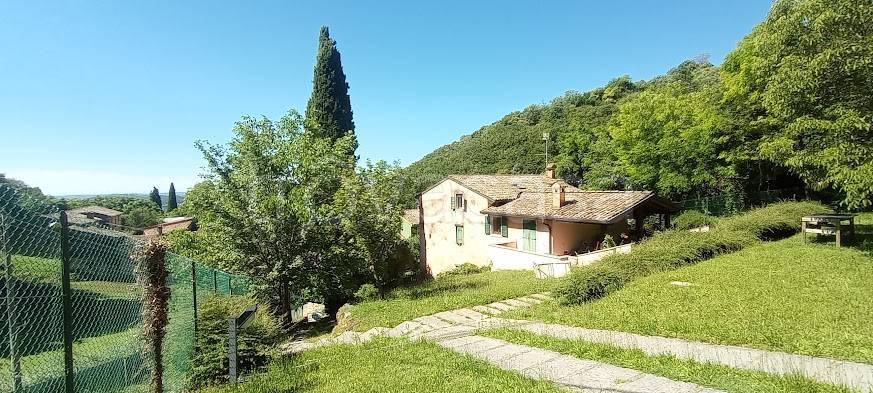 immagine annuncio 8 di 14