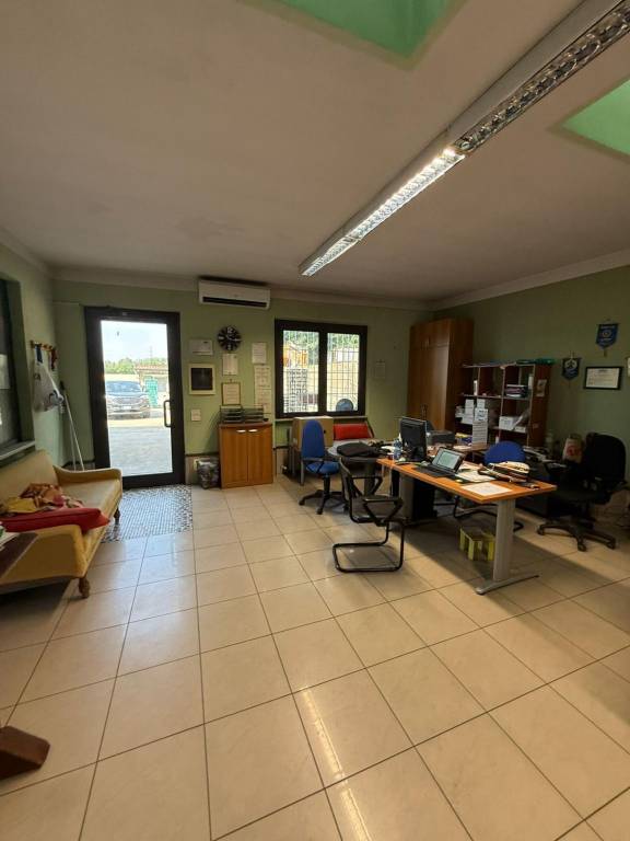 immagine annuncio 11 di 15