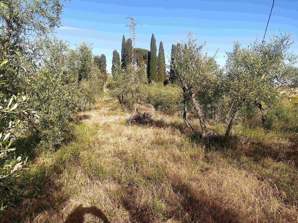 immagine annuncio 1 di 7
