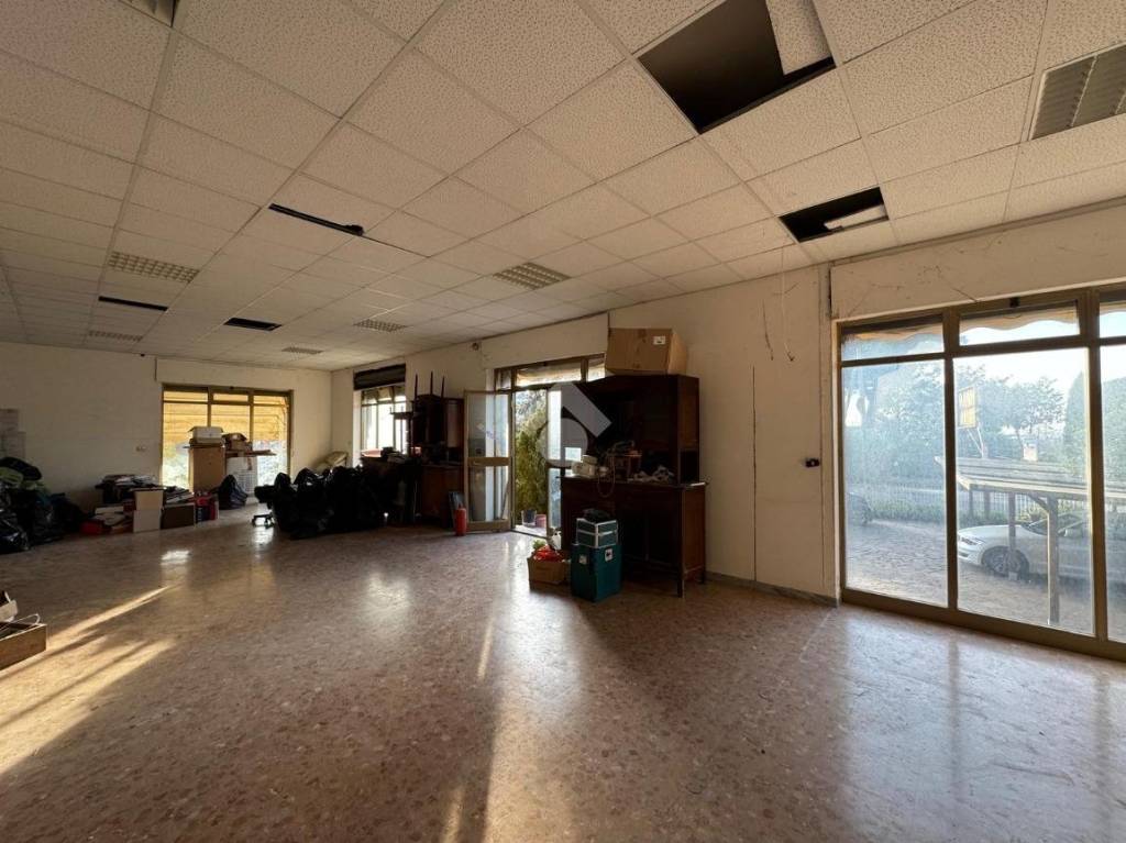 immagine annuncio 10 di 13