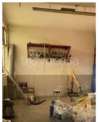 immagine annuncio 1 di 7
