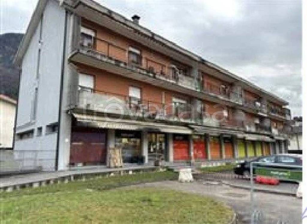 immagine annuncio 10 di 12