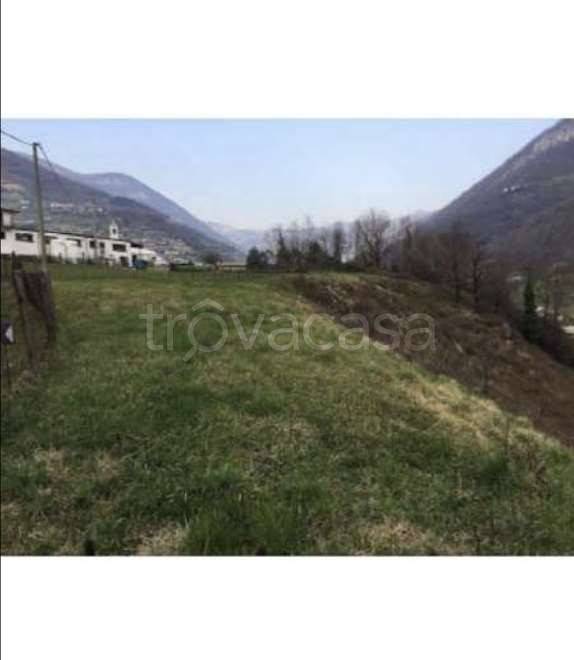 immagine annuncio 2 di 6