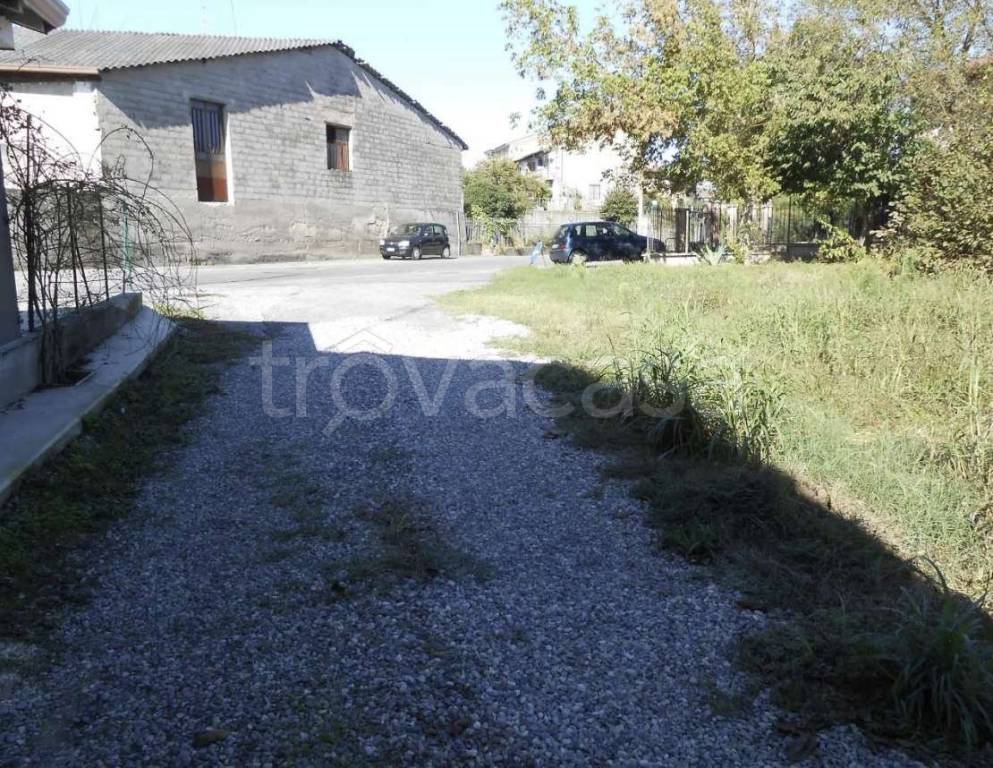 immagine annuncio 2 di 6