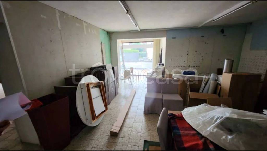 immagine annuncio 4 di 14