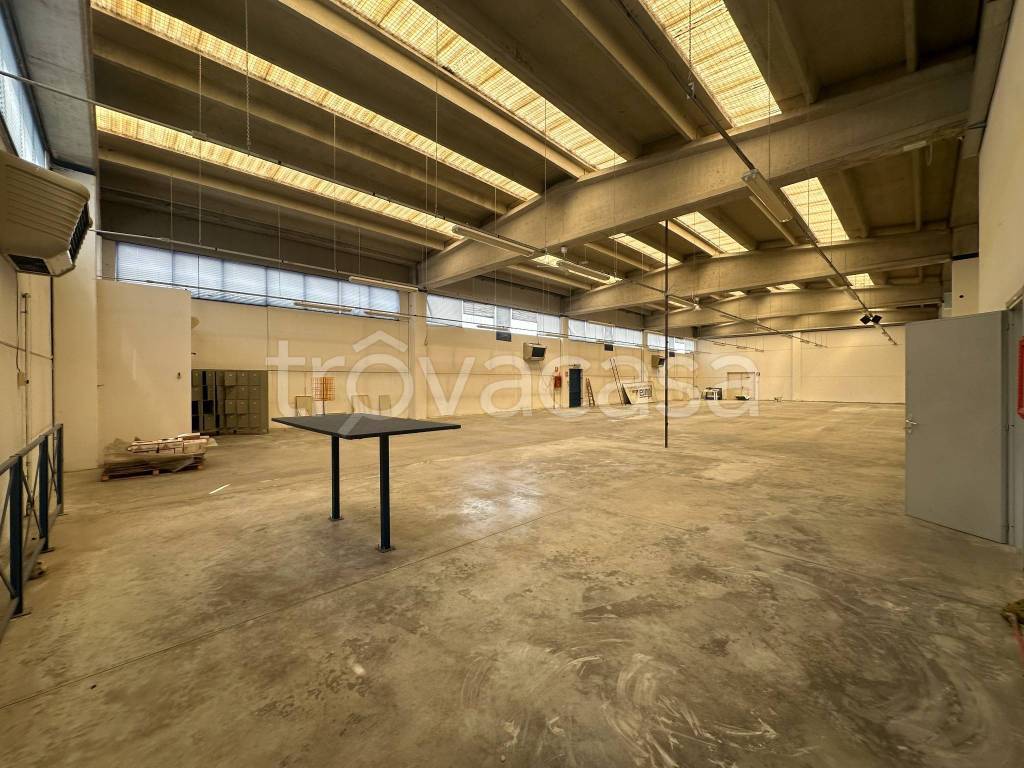 immagine annuncio 9 di 13