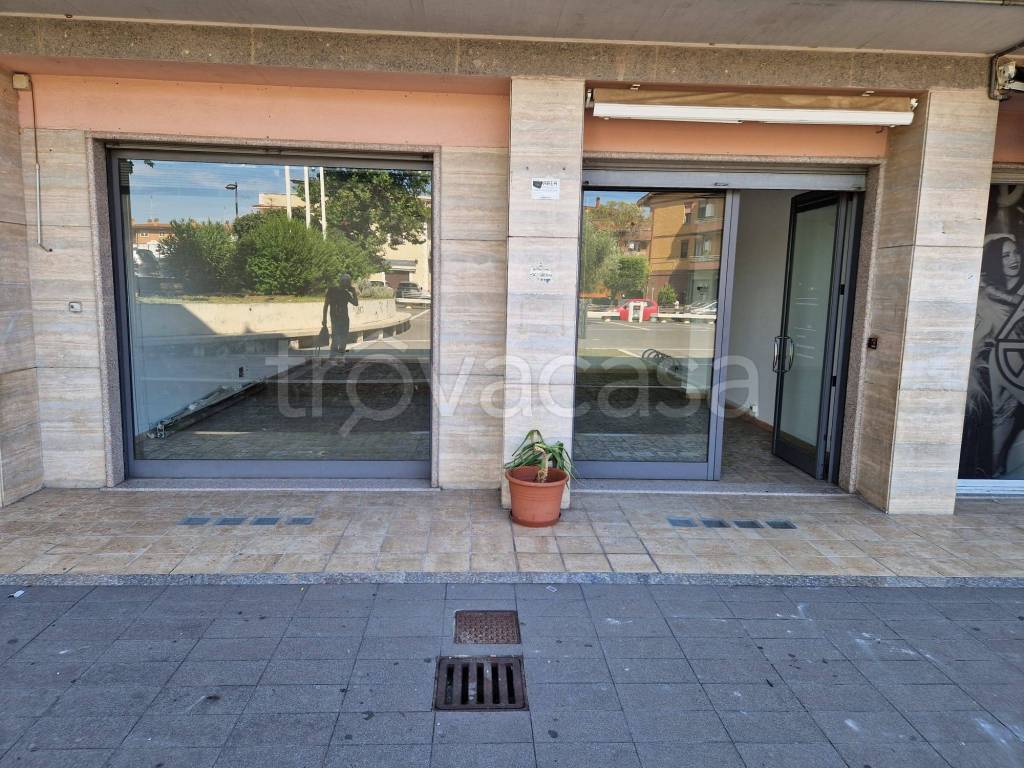immagine annuncio 9 di 12