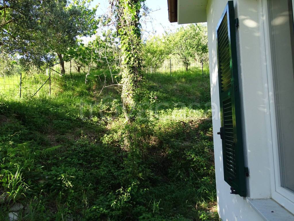 immagine annuncio 3 di 14