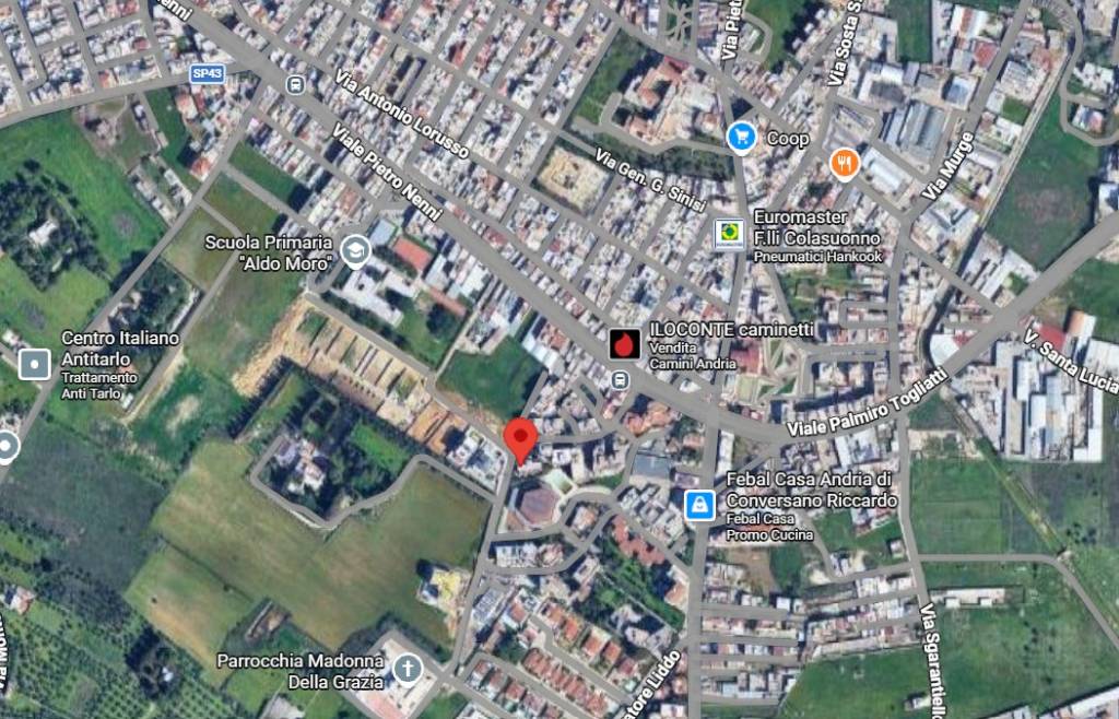 immagine annuncio 2 di 14