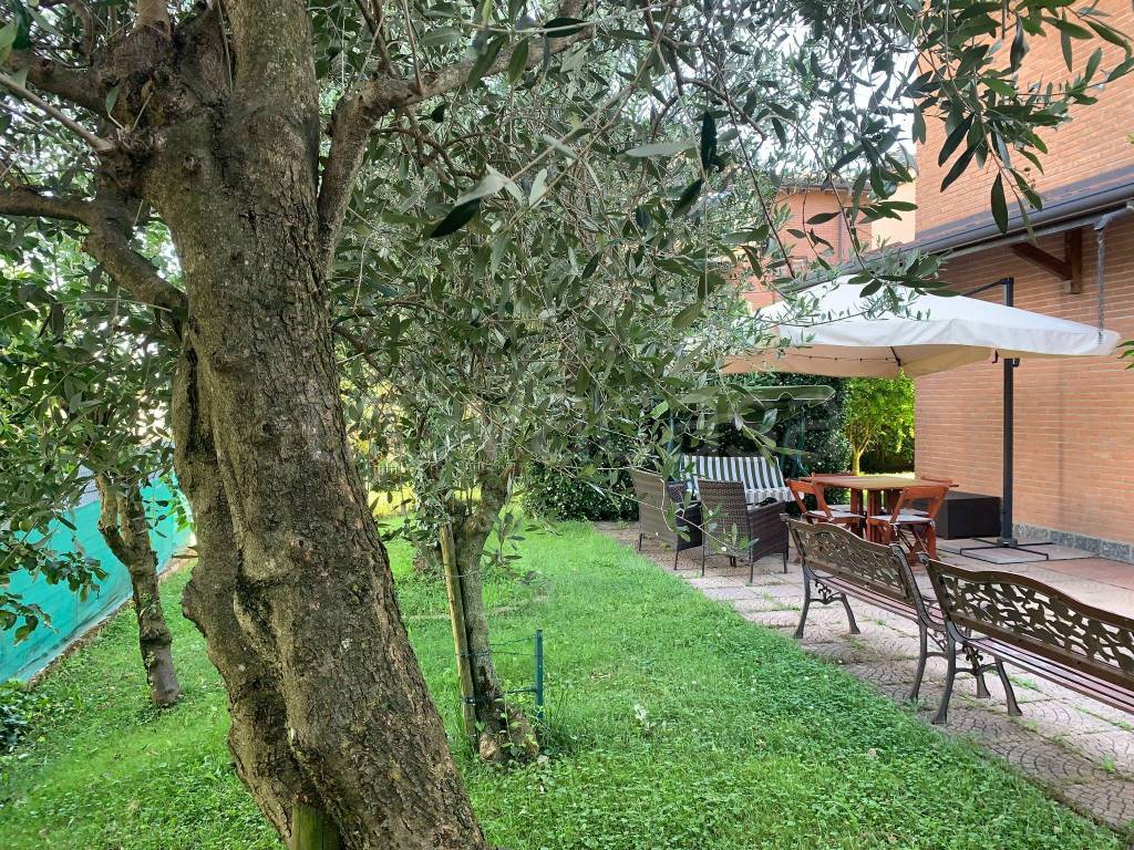 immagine annuncio 3 di 15