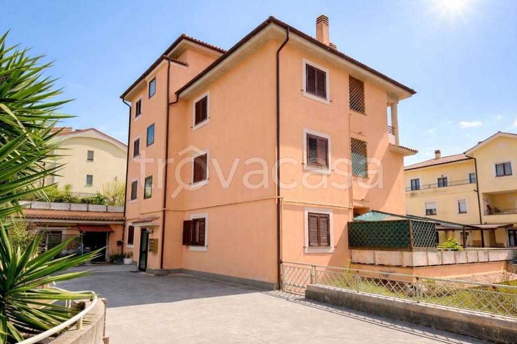 immagine annuncio 10 di 13