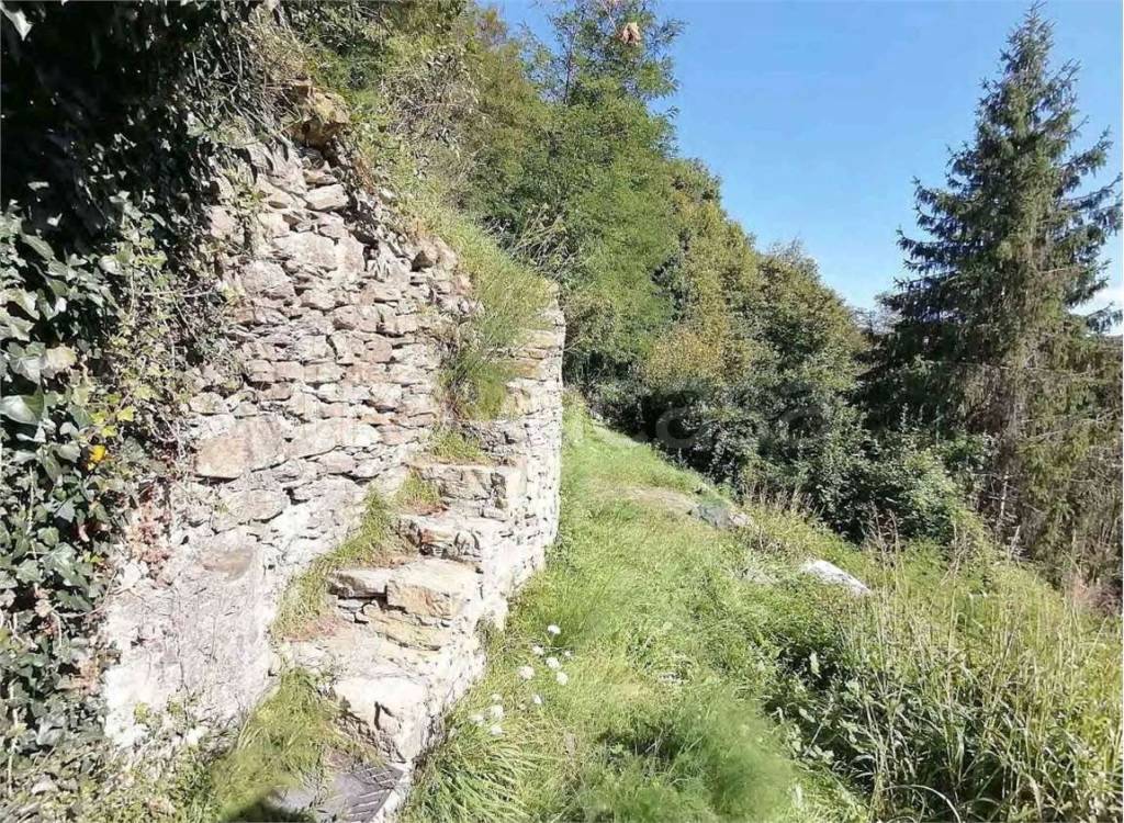 immagine annuncio 2 di 12