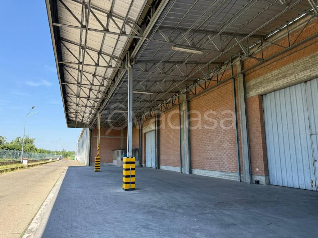 immagine annuncio 4 di 9