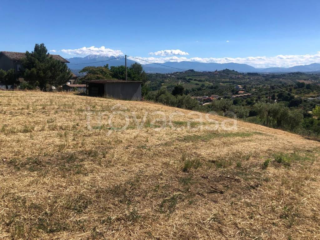 immagine annuncio 3 di 8