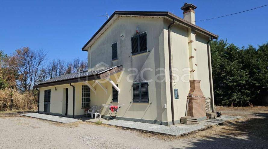 immagine annuncio 3 di 14
