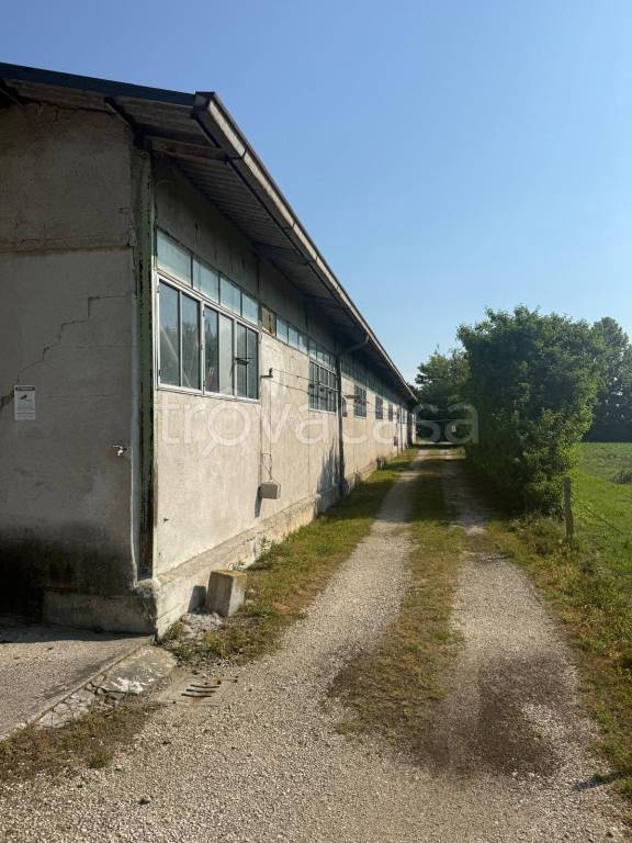 immagine annuncio 6 di 8