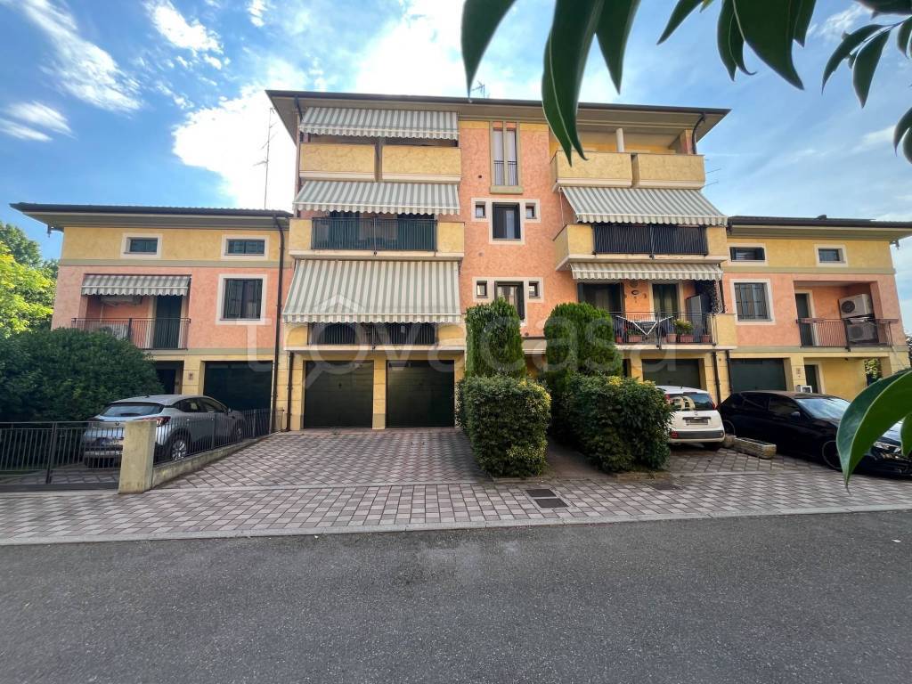 immagine annuncio 2 di 15