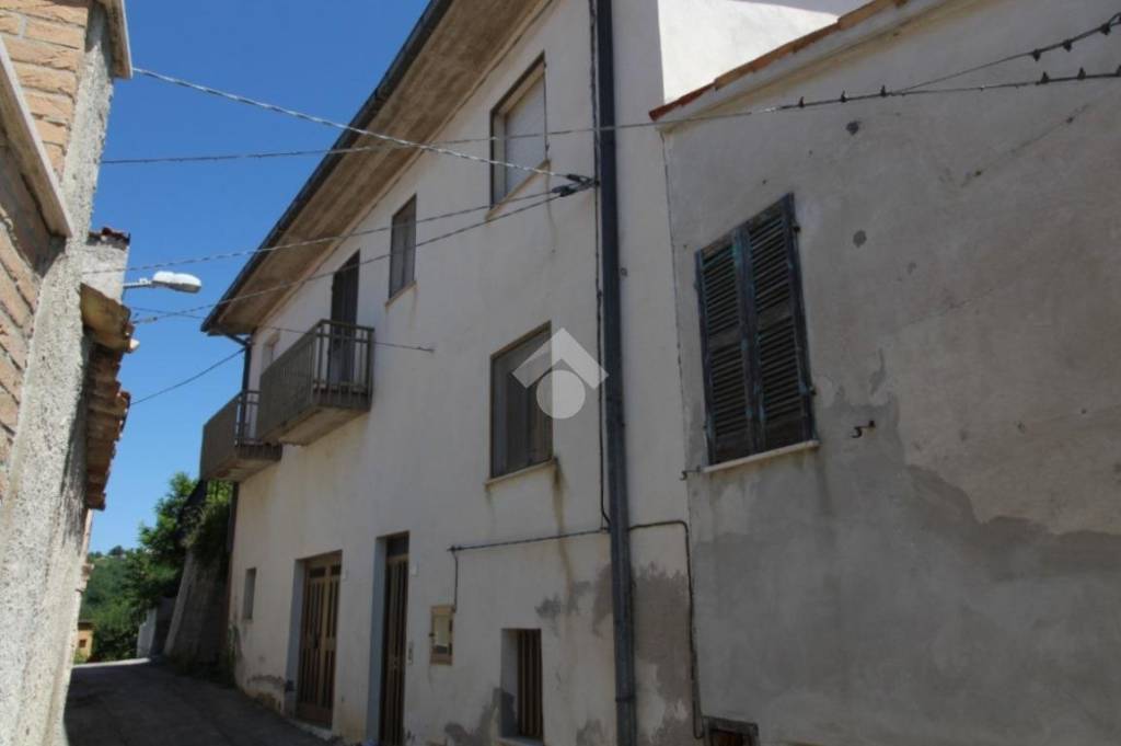 immagine annuncio 12 di 14