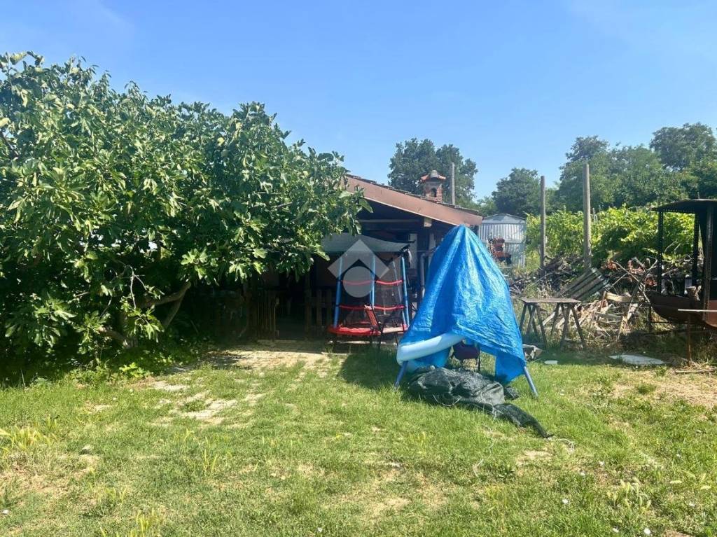 immagine annuncio 2 di 12