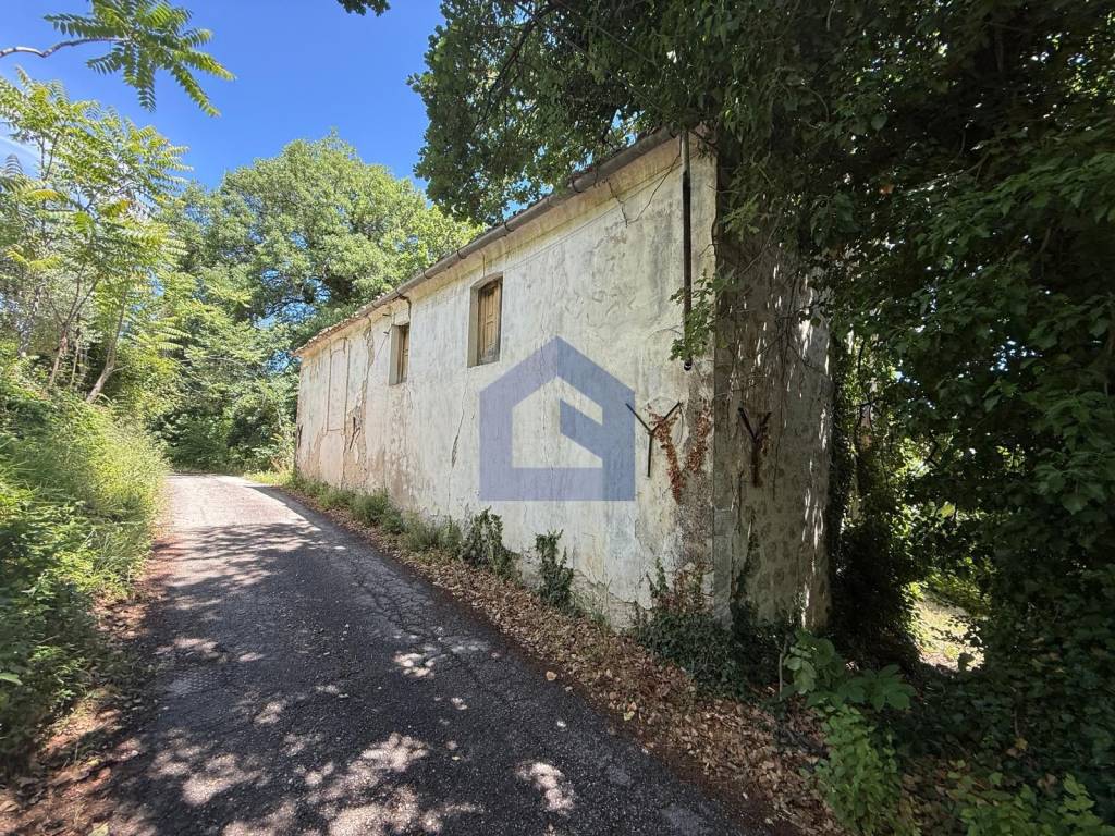 immagine annuncio 2 di 14