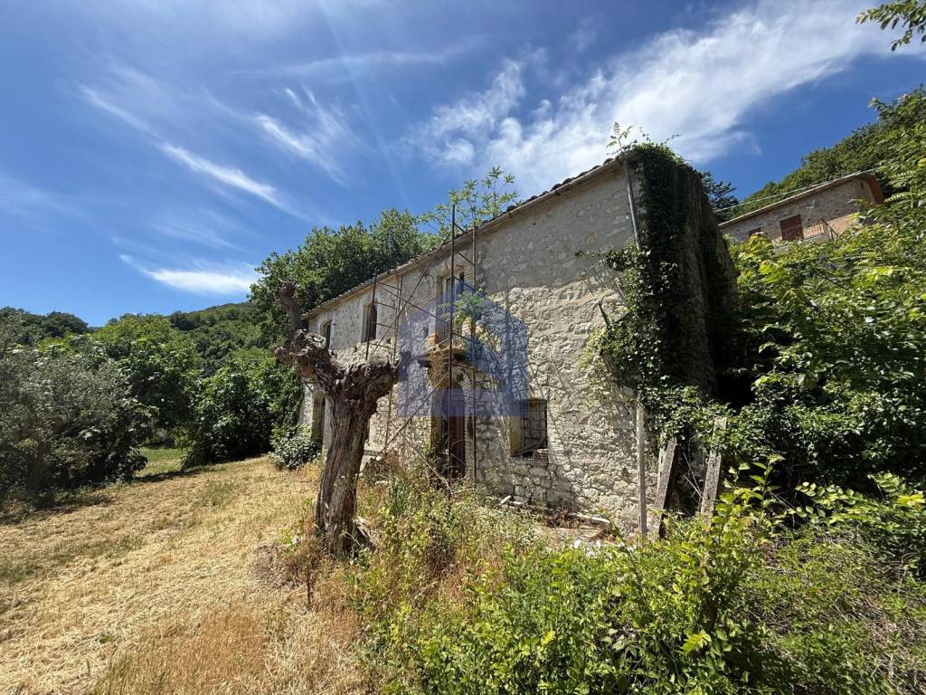 immagine annuncio 6 di 14