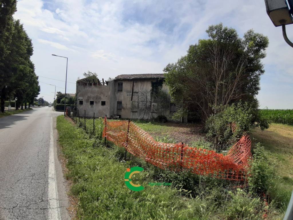 immagine annuncio 3 di 11