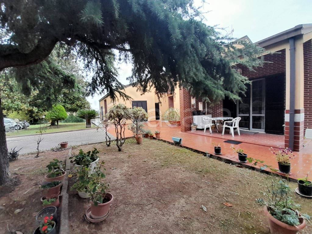immagine annuncio 5 di 15
