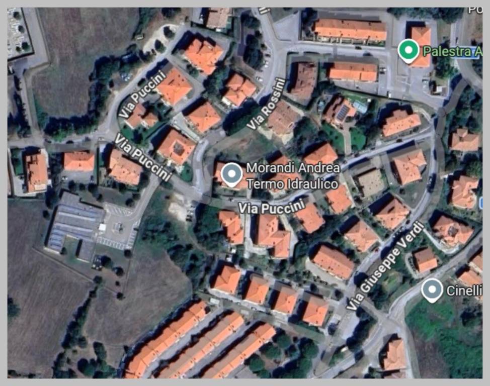 immagine annuncio 11 di 15