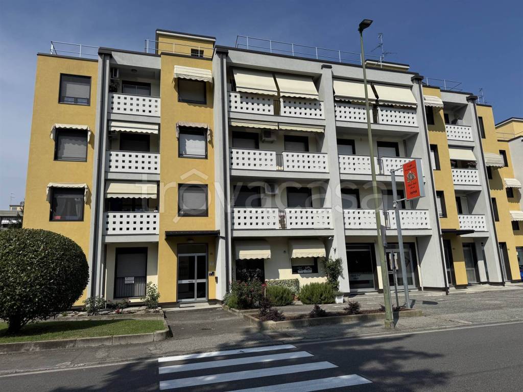 immagine annuncio 1 di 15