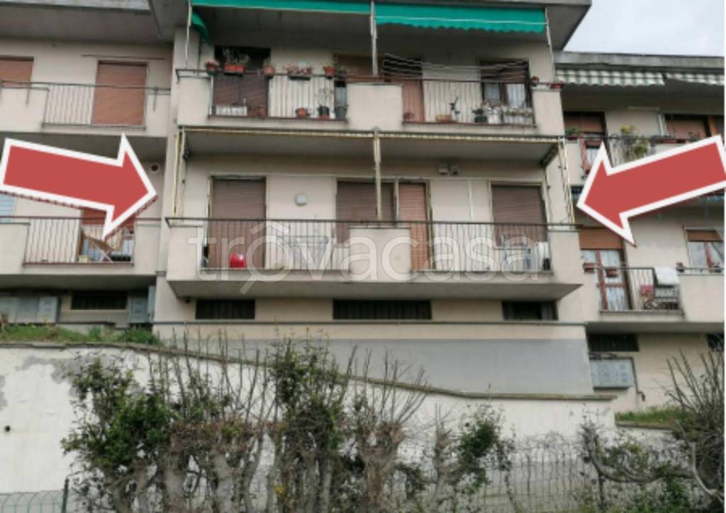 immagine annuncio 1 di 13
