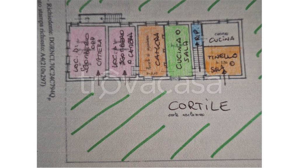 immagine annuncio 2 di 15