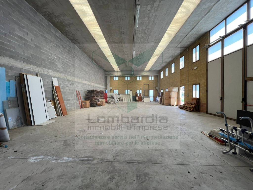 immagine annuncio 9 di 10