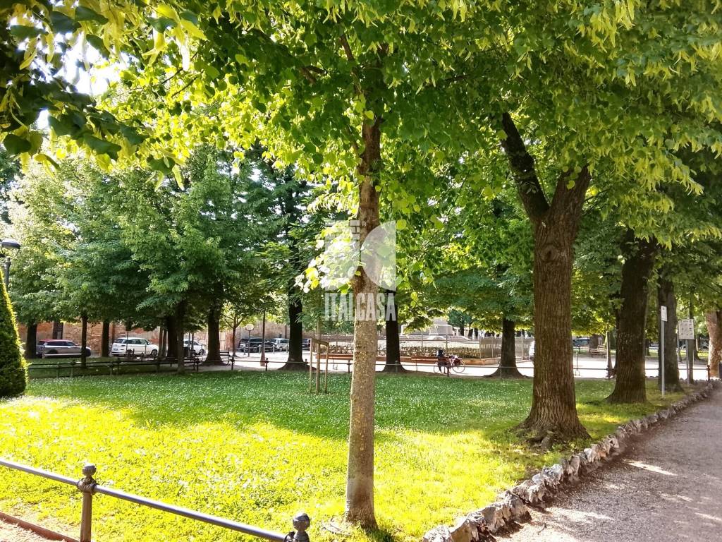 immagine annuncio 9 di 13